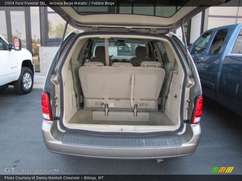 Arizona Beige Metallic / Pebble Beige 2004 Ford Freestar SEL