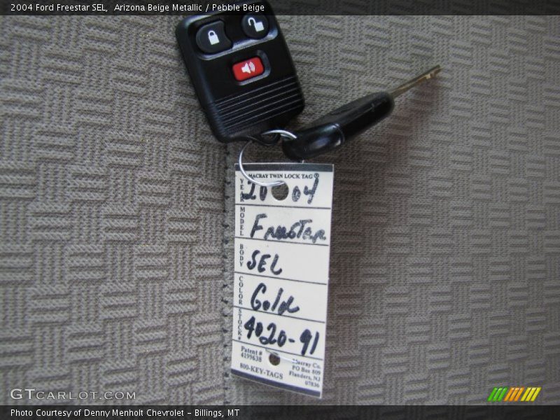 Arizona Beige Metallic / Pebble Beige 2004 Ford Freestar SEL