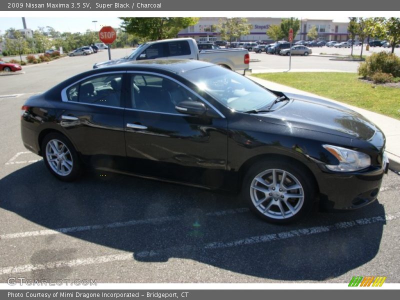 Super Black / Charcoal 2009 Nissan Maxima 3.5 SV