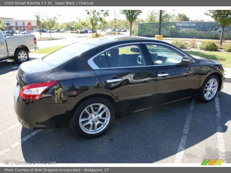 Super Black / Charcoal 2009 Nissan Maxima 3.5 SV