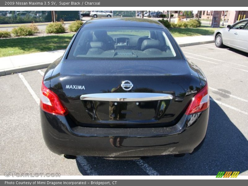 Super Black / Charcoal 2009 Nissan Maxima 3.5 SV