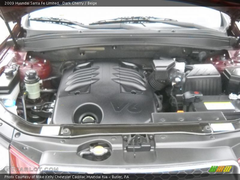 Dark Cherry / Beige 2009 Hyundai Santa Fe Limited