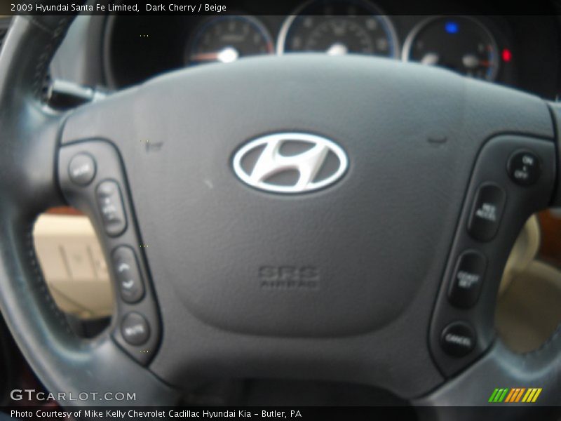 Dark Cherry / Beige 2009 Hyundai Santa Fe Limited