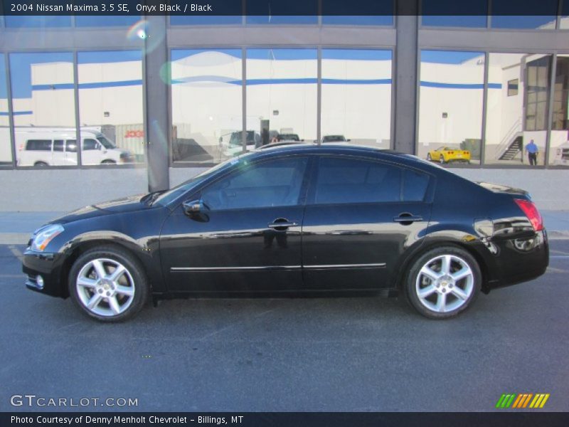 Onyx Black / Black 2004 Nissan Maxima 3.5 SE