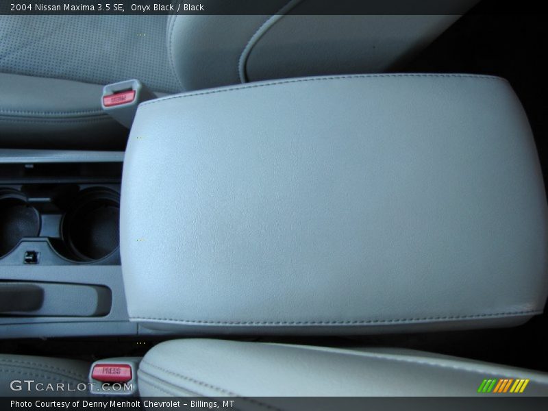 Onyx Black / Black 2004 Nissan Maxima 3.5 SE