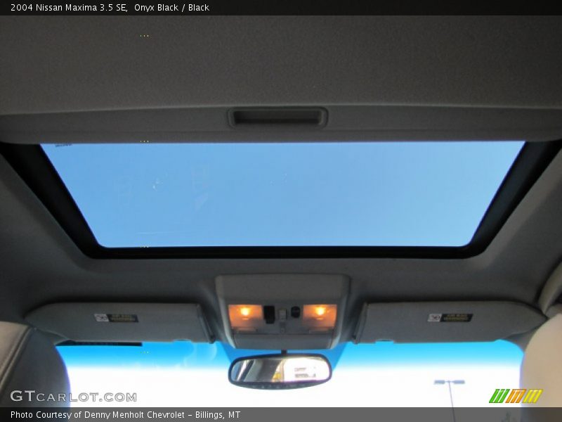Onyx Black / Black 2004 Nissan Maxima 3.5 SE