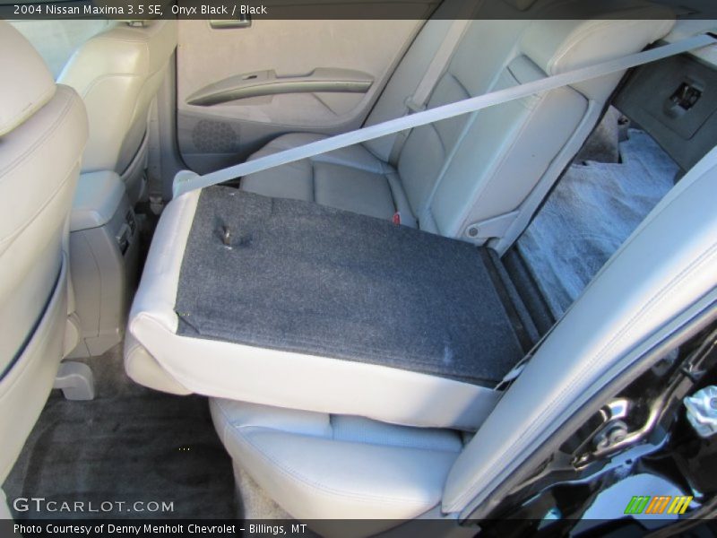 Onyx Black / Black 2004 Nissan Maxima 3.5 SE