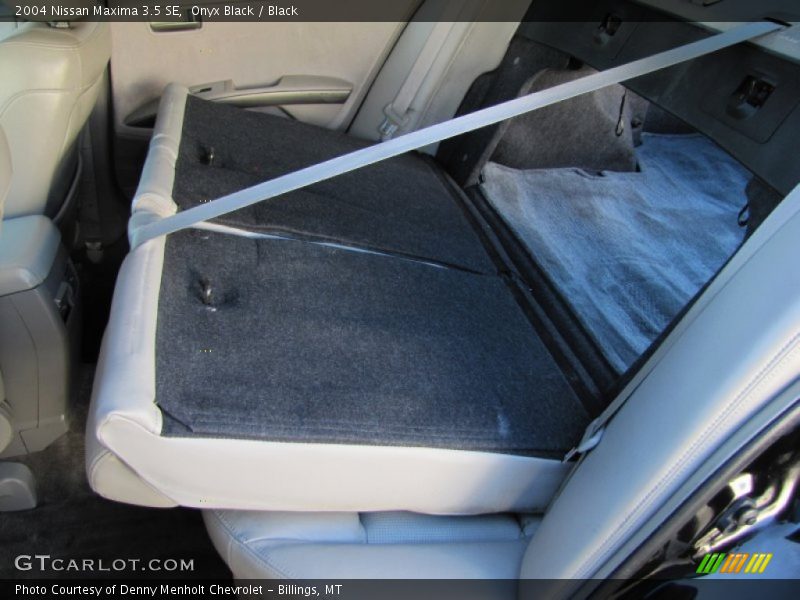 Onyx Black / Black 2004 Nissan Maxima 3.5 SE