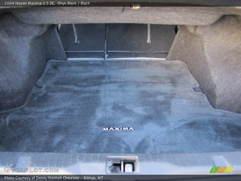 Onyx Black / Black 2004 Nissan Maxima 3.5 SE