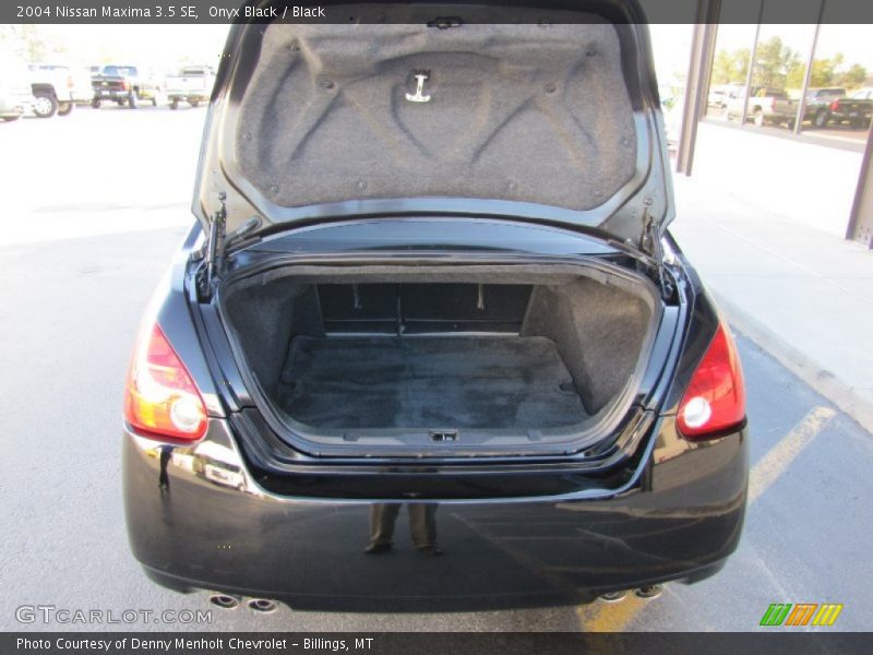 Onyx Black / Black 2004 Nissan Maxima 3.5 SE