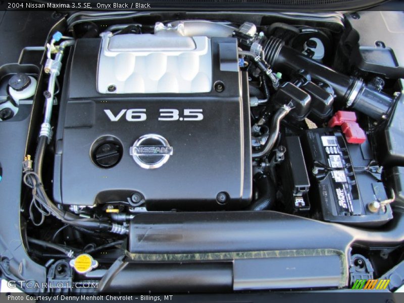 Onyx Black / Black 2004 Nissan Maxima 3.5 SE