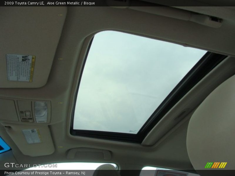 Aloe Green Metallic / Bisque 2009 Toyota Camry LE