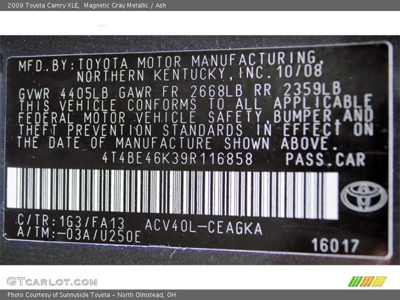 Magnetic Gray Metallic / Ash 2009 Toyota Camry XLE