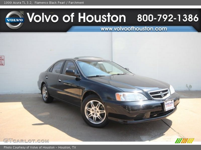 Flamenco Black Pearl / Parchment 1999 Acura TL 3.2