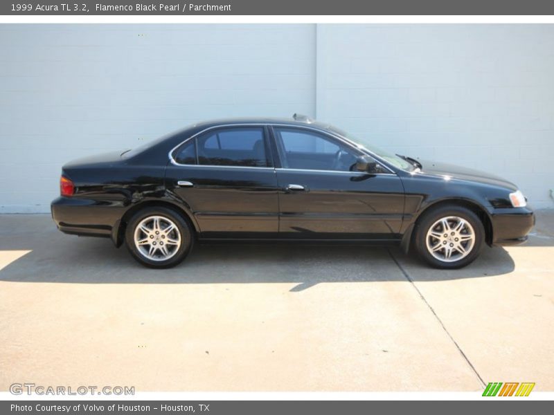 Flamenco Black Pearl / Parchment 1999 Acura TL 3.2