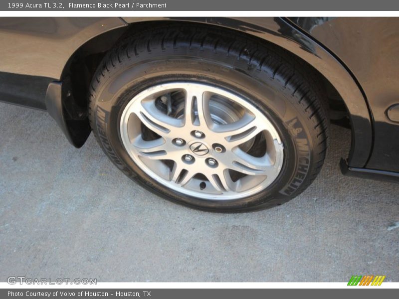 Flamenco Black Pearl / Parchment 1999 Acura TL 3.2
