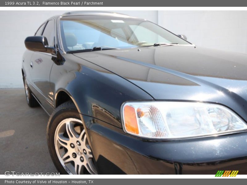 Flamenco Black Pearl / Parchment 1999 Acura TL 3.2