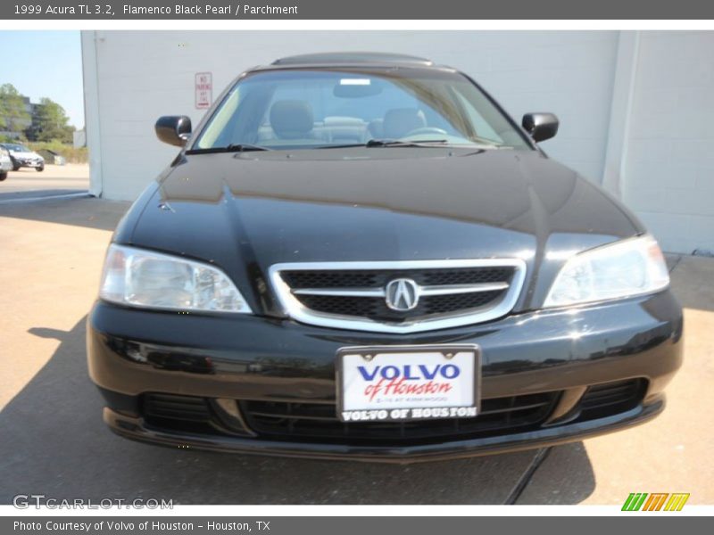 Flamenco Black Pearl / Parchment 1999 Acura TL 3.2