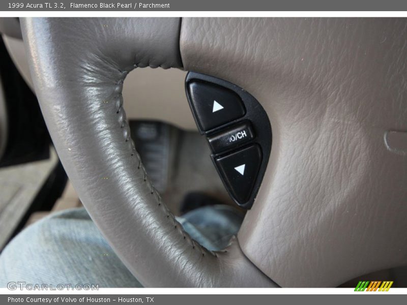 Flamenco Black Pearl / Parchment 1999 Acura TL 3.2