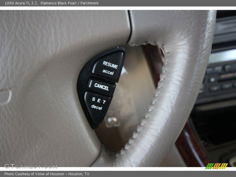 Flamenco Black Pearl / Parchment 1999 Acura TL 3.2