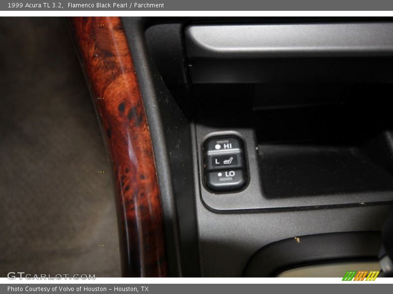 Flamenco Black Pearl / Parchment 1999 Acura TL 3.2