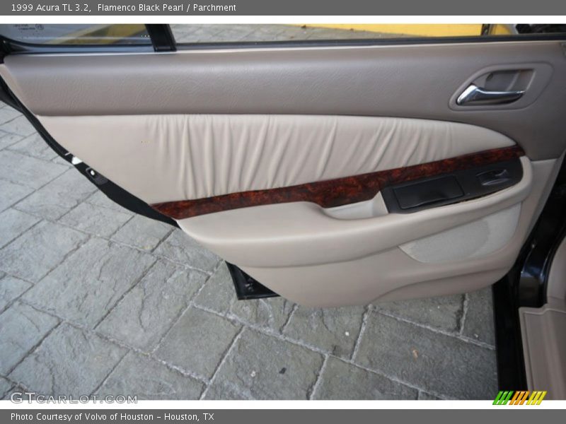 Flamenco Black Pearl / Parchment 1999 Acura TL 3.2