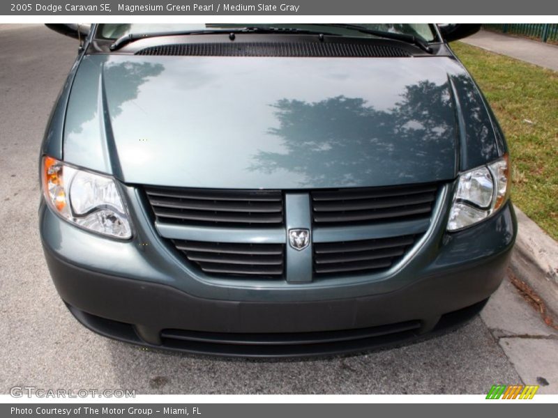 Magnesium Green Pearl / Medium Slate Gray 2005 Dodge Caravan SE