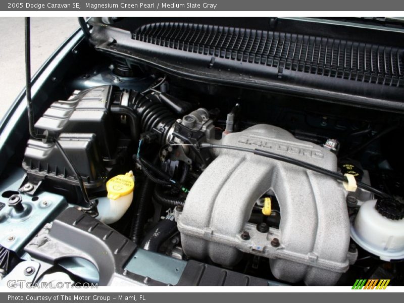 Magnesium Green Pearl / Medium Slate Gray 2005 Dodge Caravan SE