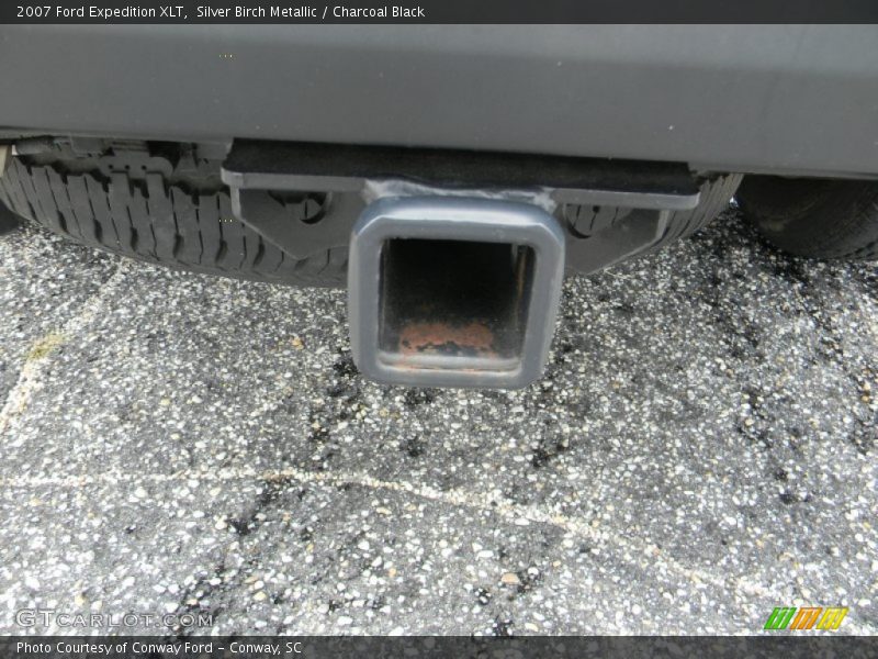 Silver Birch Metallic / Charcoal Black 2007 Ford Expedition XLT