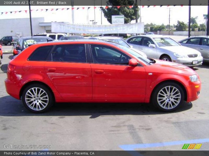 Brilliant Red / Black 2006 Audi A3 2.0T
