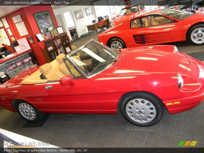 Red / Tan 1993 Alfa Romeo Spider Veloce