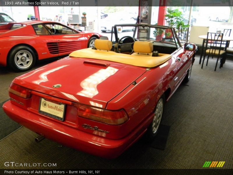 Red / Tan 1993 Alfa Romeo Spider Veloce