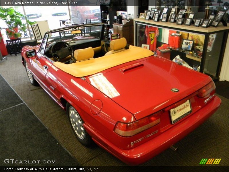 Red / Tan 1993 Alfa Romeo Spider Veloce