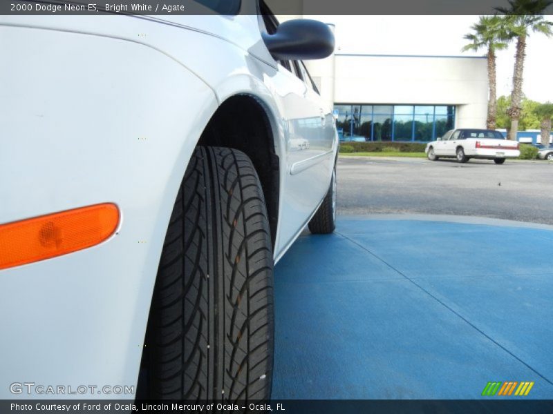 Bright White / Agate 2000 Dodge Neon ES