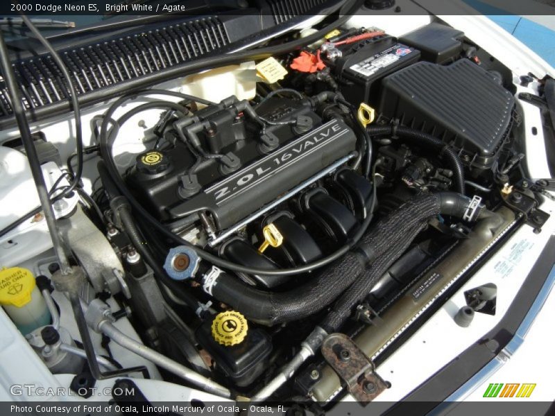 Bright White / Agate 2000 Dodge Neon ES