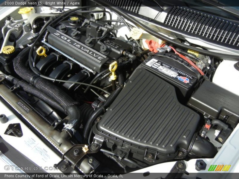 Bright White / Agate 2000 Dodge Neon ES