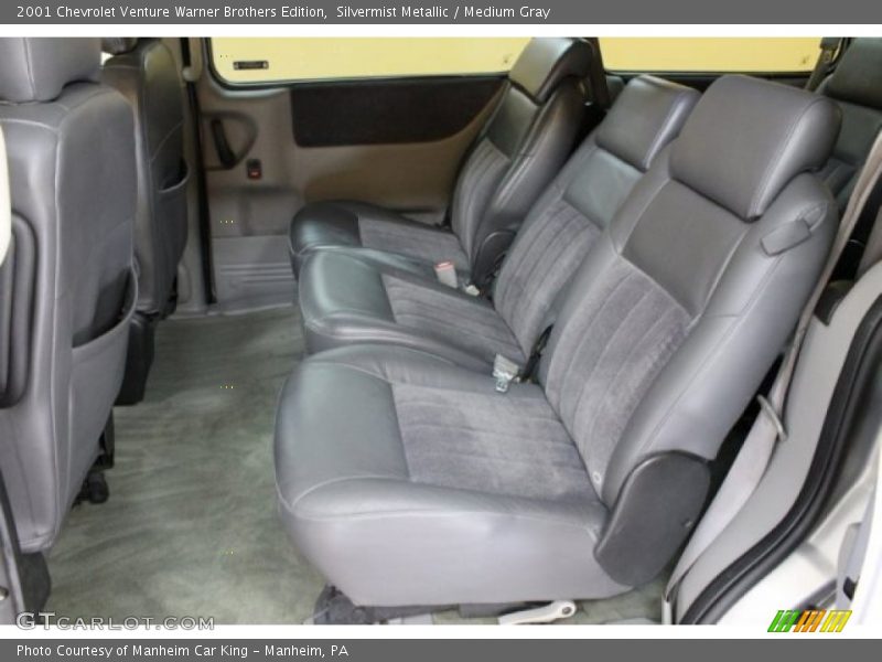  2001 Venture Warner Brothers Edition Medium Gray Interior
