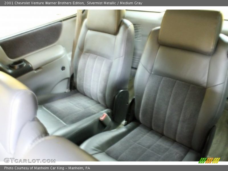  2001 Venture Warner Brothers Edition Medium Gray Interior