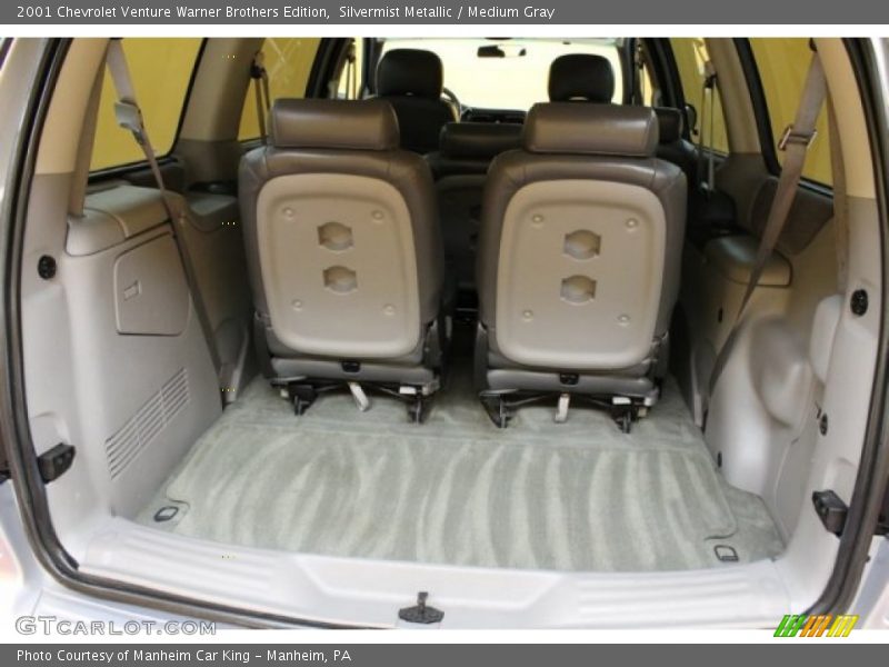  2001 Venture Warner Brothers Edition Trunk