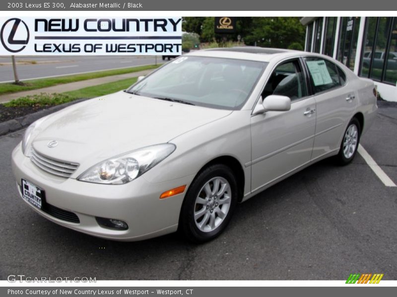 Alabaster Metallic / Black 2003 Lexus ES 300