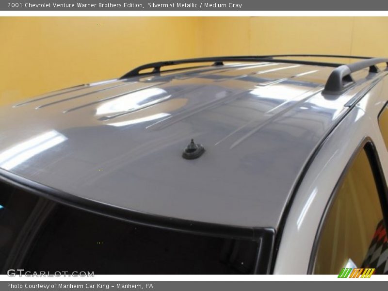 Silvermist Metallic / Medium Gray 2001 Chevrolet Venture Warner Brothers Edition