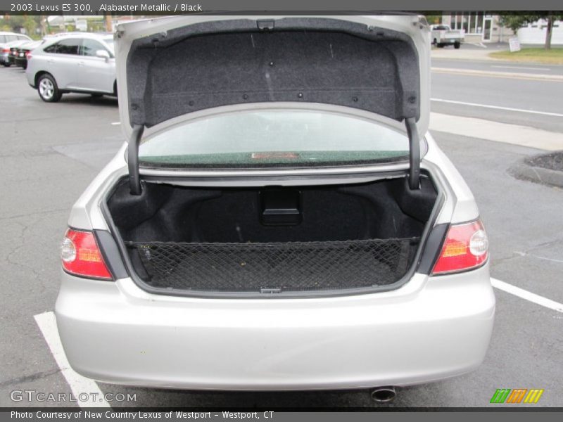 Alabaster Metallic / Black 2003 Lexus ES 300
