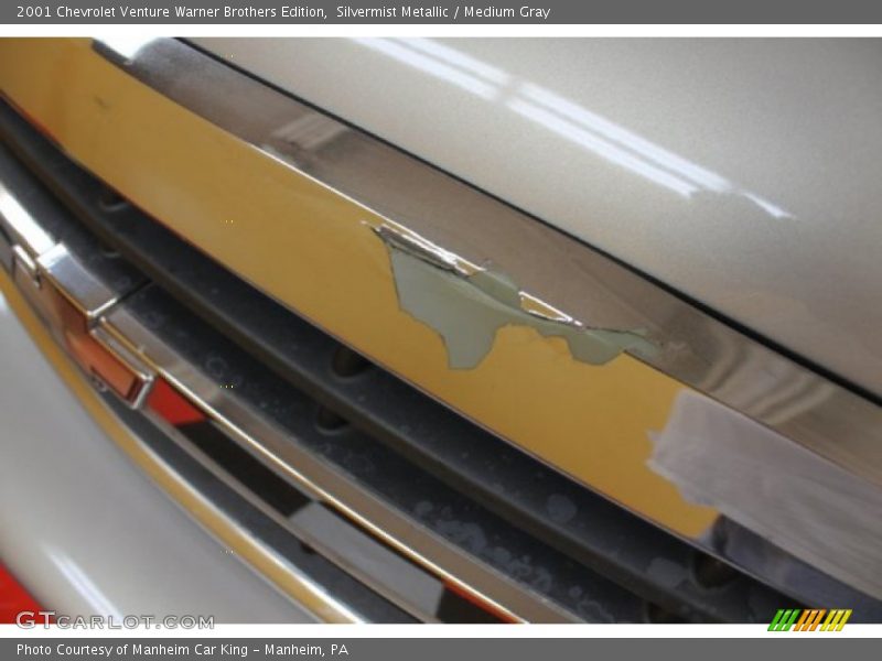 Silvermist Metallic / Medium Gray 2001 Chevrolet Venture Warner Brothers Edition