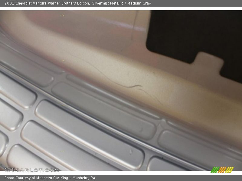 Silvermist Metallic / Medium Gray 2001 Chevrolet Venture Warner Brothers Edition