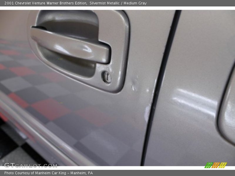Silvermist Metallic / Medium Gray 2001 Chevrolet Venture Warner Brothers Edition