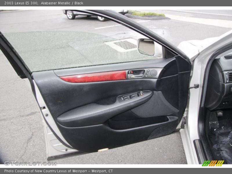Alabaster Metallic / Black 2003 Lexus ES 300