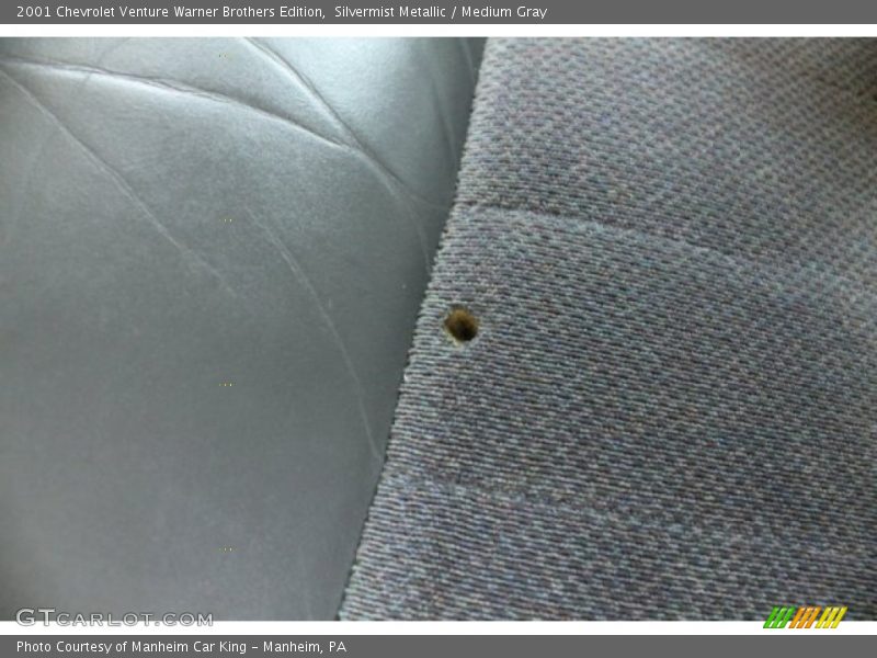 Silvermist Metallic / Medium Gray 2001 Chevrolet Venture Warner Brothers Edition