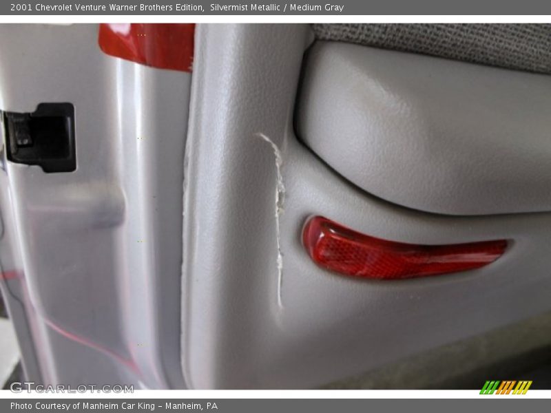 Silvermist Metallic / Medium Gray 2001 Chevrolet Venture Warner Brothers Edition