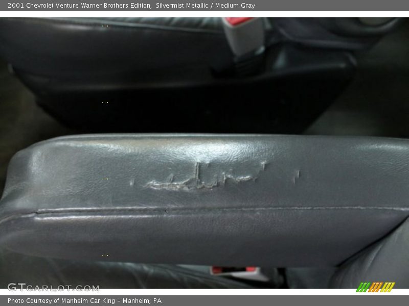 Silvermist Metallic / Medium Gray 2001 Chevrolet Venture Warner Brothers Edition