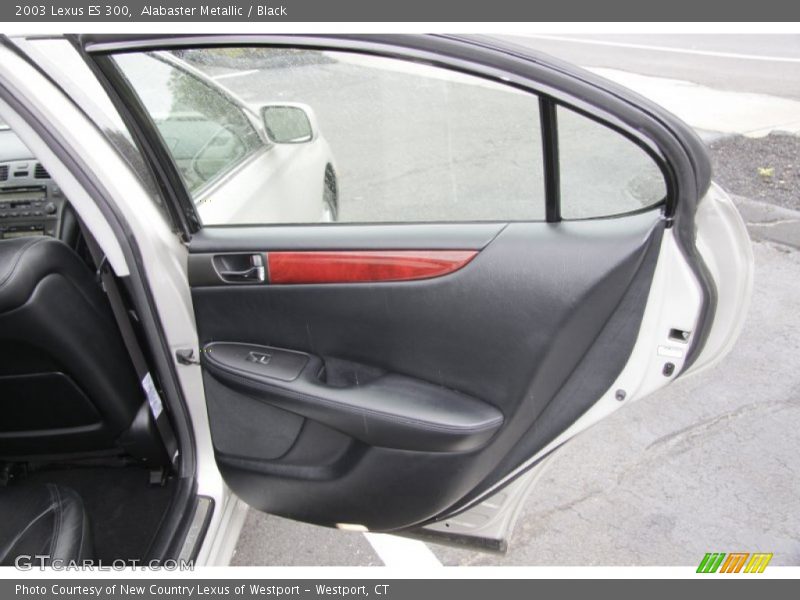 Alabaster Metallic / Black 2003 Lexus ES 300